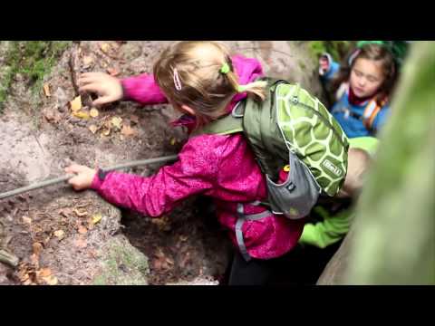video k Boll Roo 12 Ants